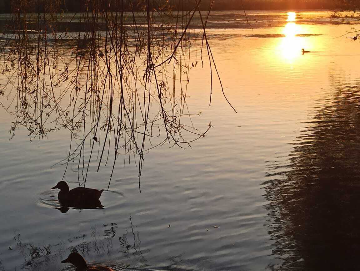 Al Lago di Posta Fibreno - Locazione Turistica