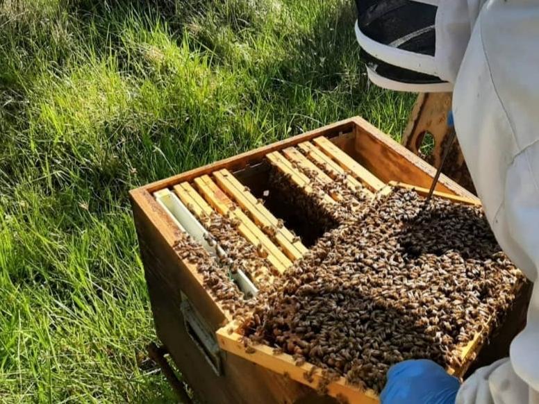 Azienda Agricola Don Donato