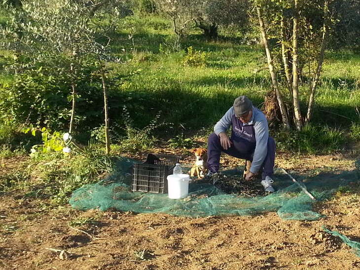 Azienda Agricola L'Orticello Fortunato