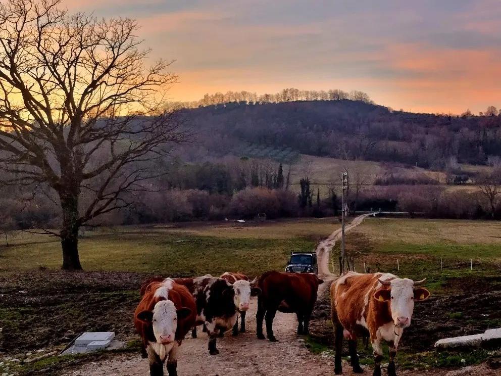 Bartolomucci Agrozootecnica