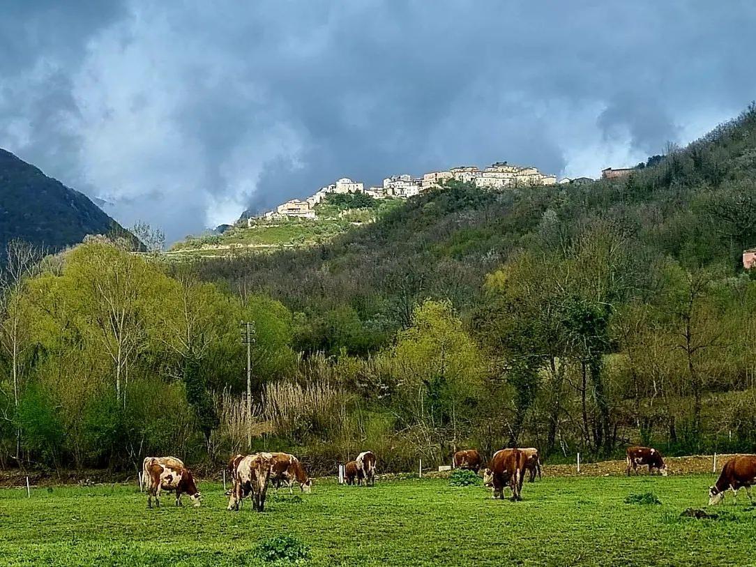 Bartolomucci Agrozootecnica