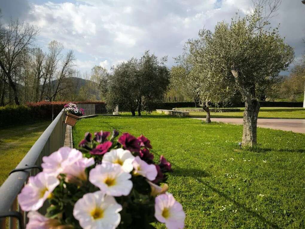 Fons Clara Domus Et Eventi