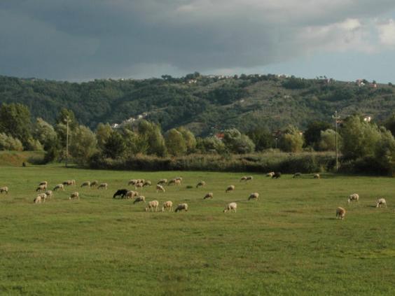 Monumento Naturale Lungofibreno