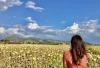 turismo-arancione-tours