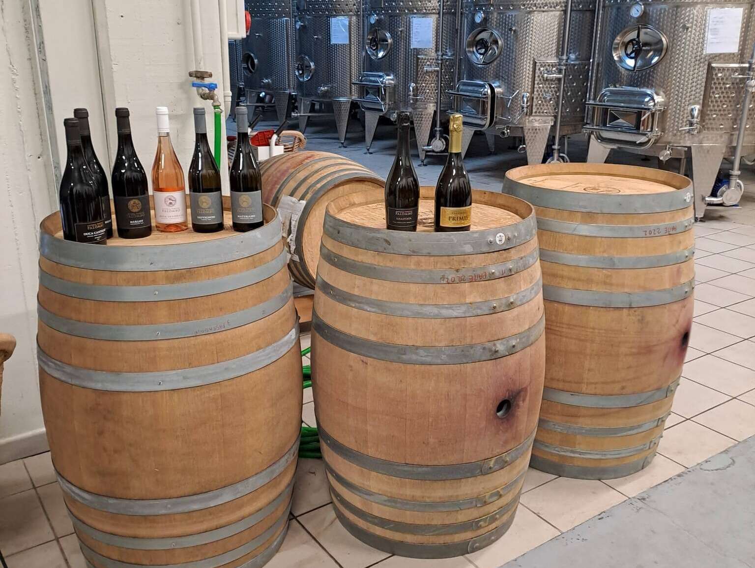 La Ciociaria si fa conoscere: Educational FAM Trip & Press Tour