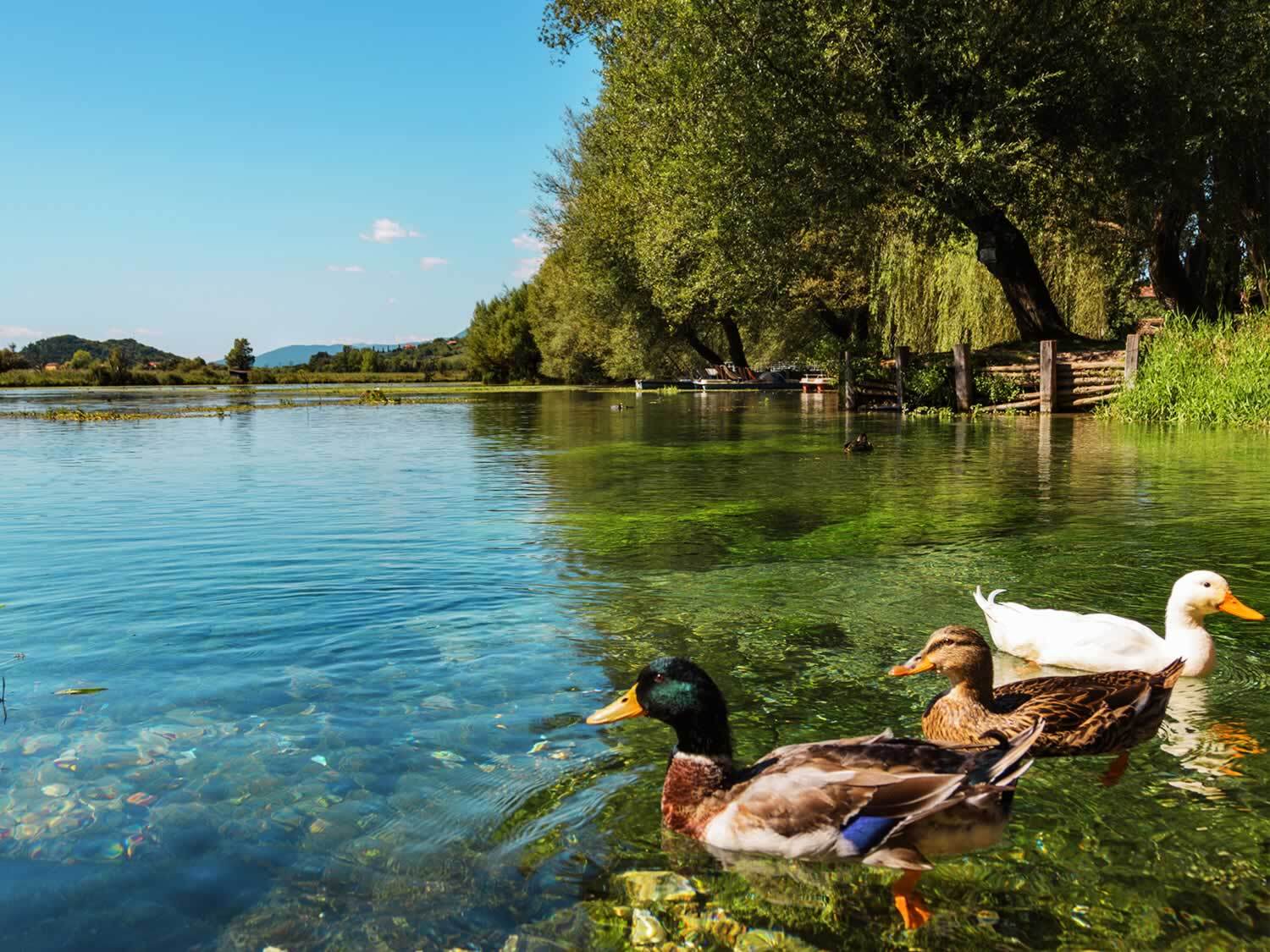 Perdersi nella La Riserva Naturale lago di Posta Fibreno