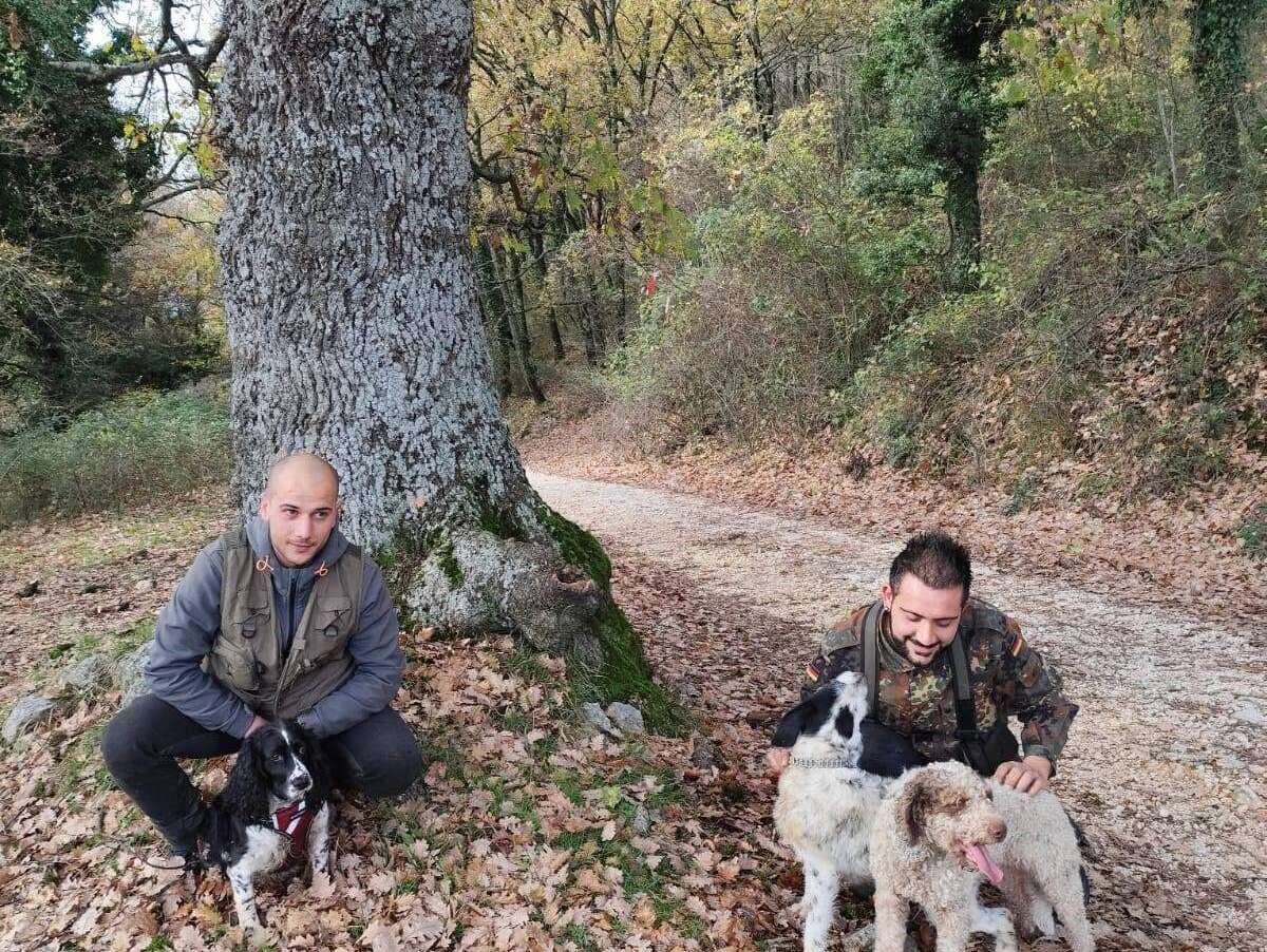 A Caccia di Tartufi