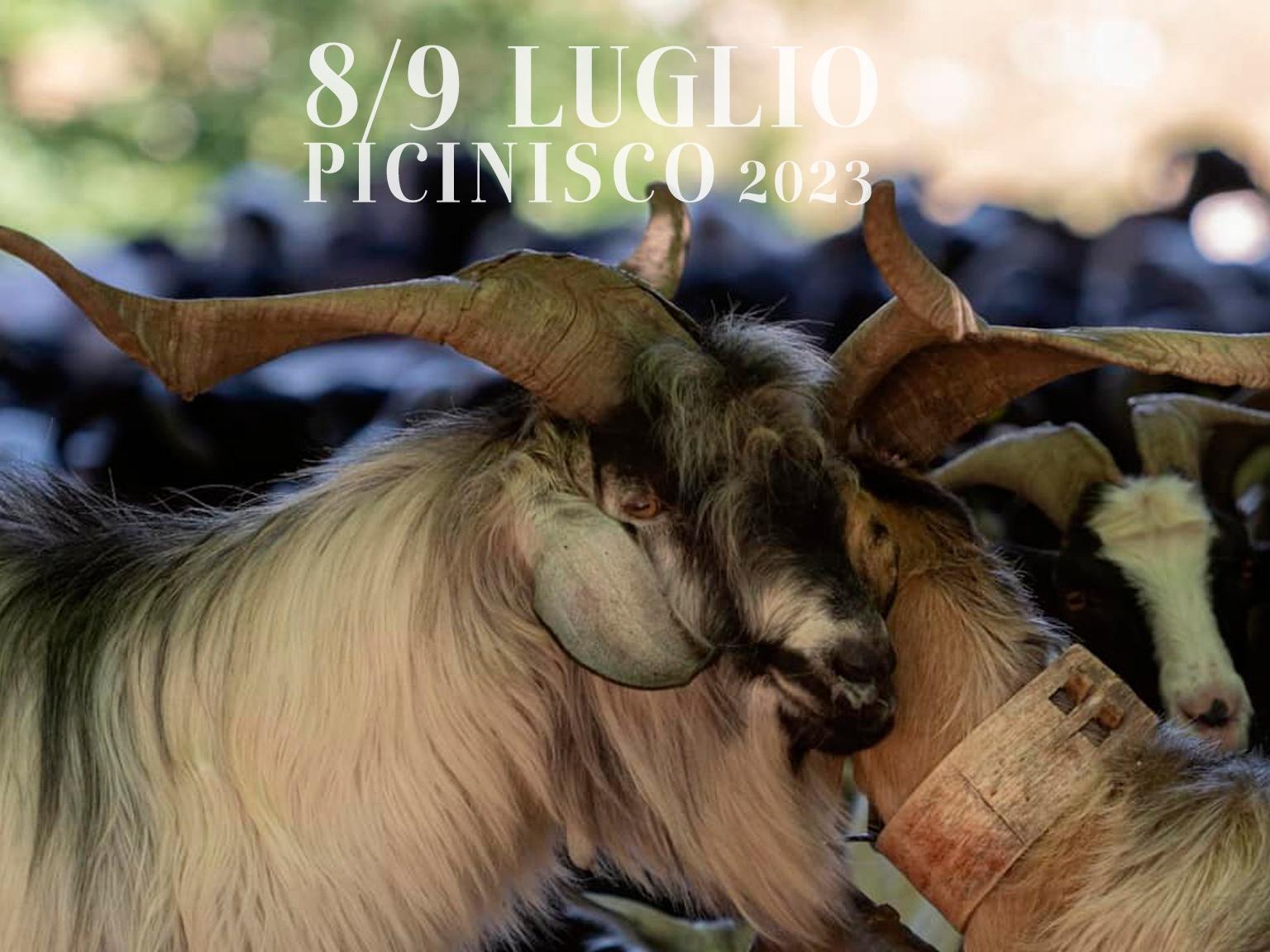 pastorizia-in-festival-picinisco-8-9-luglio-2023
