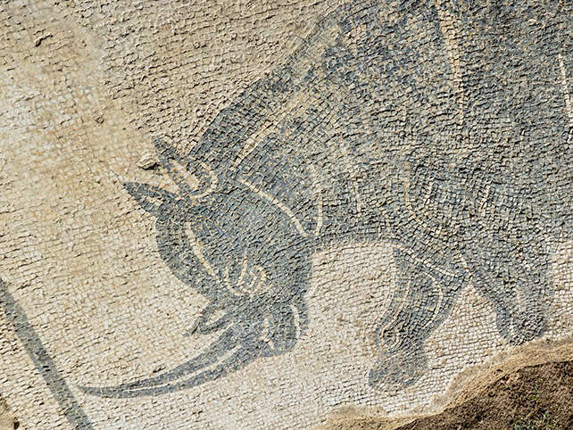 Area Archeologica di Aquinum - Castrocielo