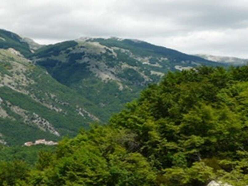 Area Wilderness "Gola del Fiume Rapido" - Vallerotonda