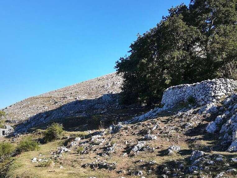 Castagneti e Faggeti Secolari di Settare - Colle San Magno