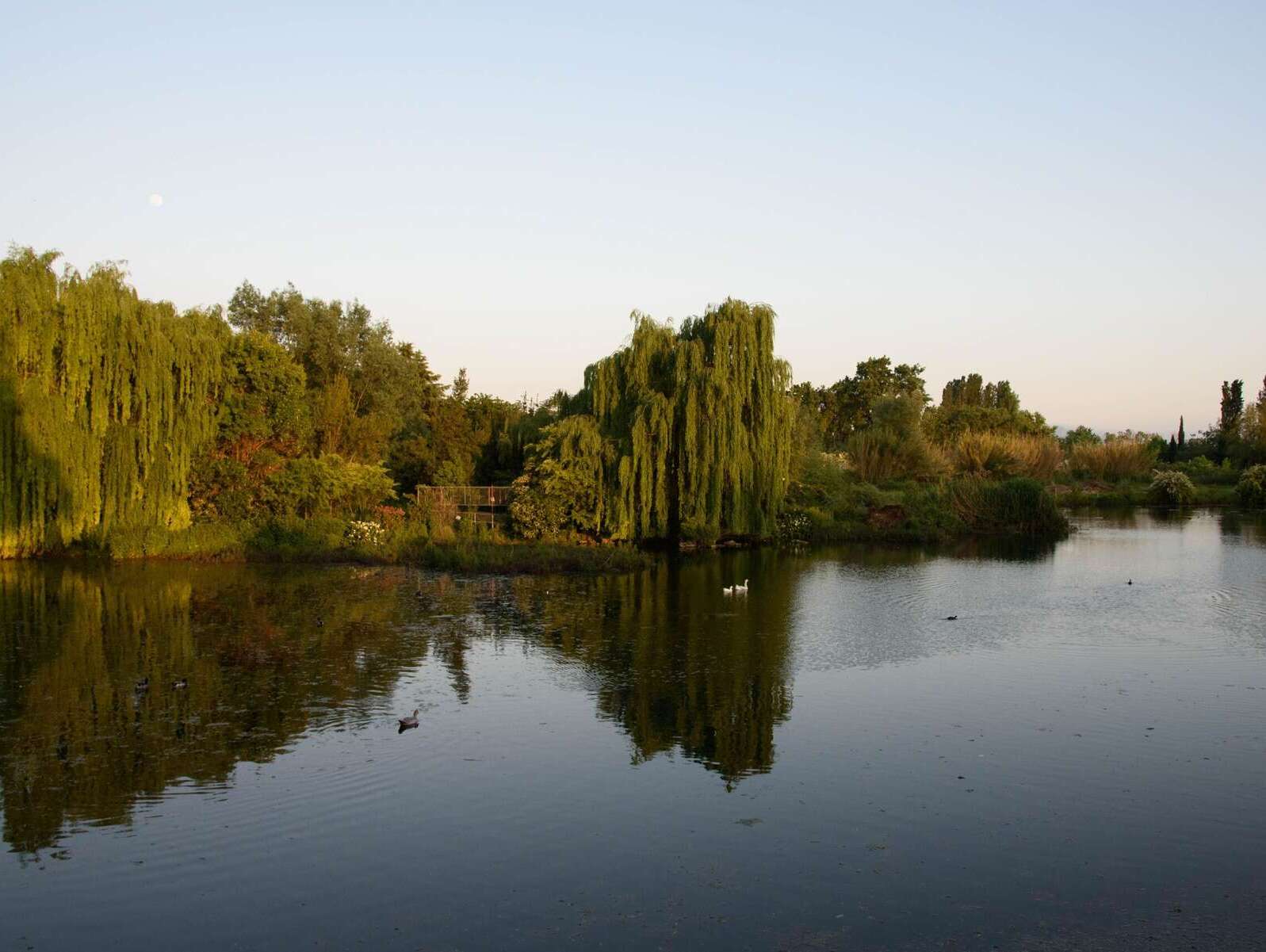 Lago di Capo d'Acqua - Castrocielo