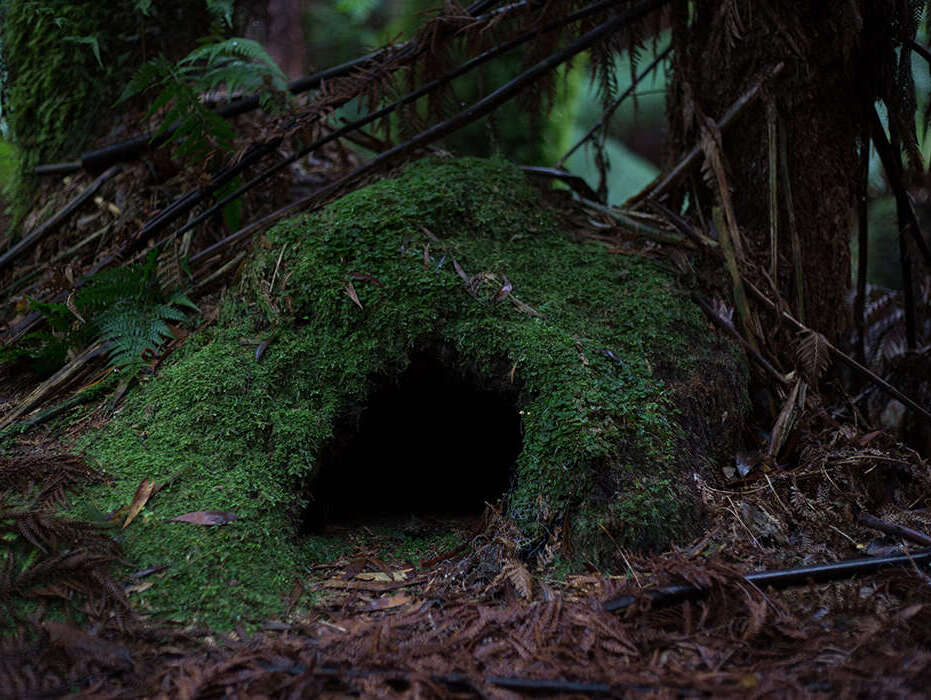 Miniere di Asfalto - Colle San Magno