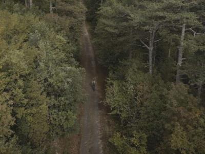 pineta-valle-dell-inferno-vallerotonda