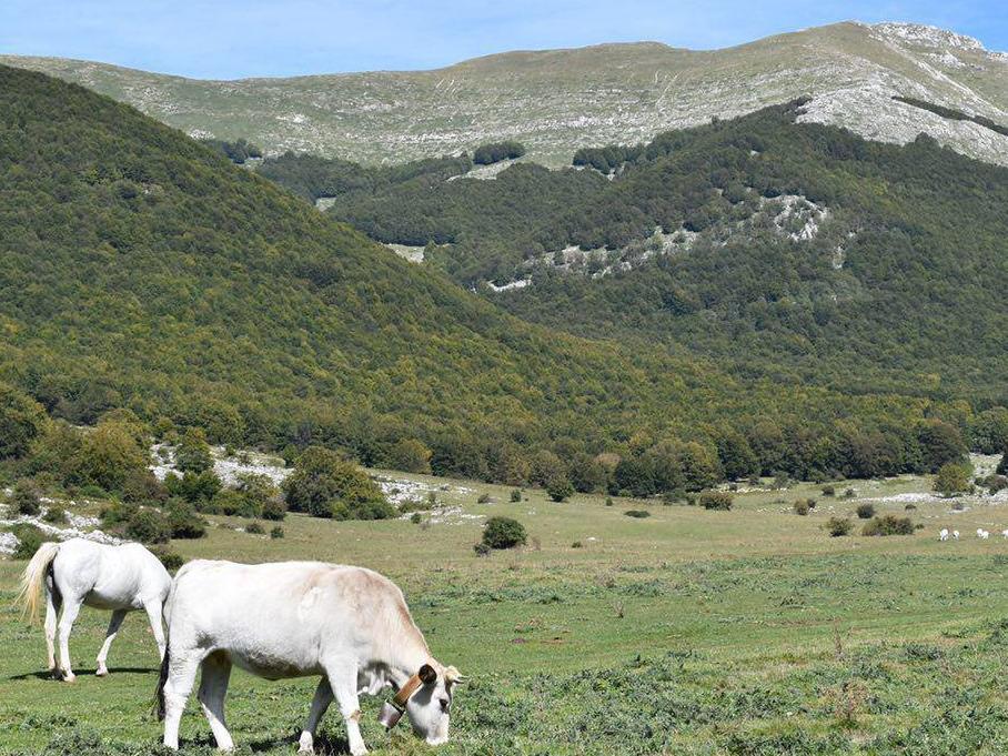 Prato di Campoli - Veroli