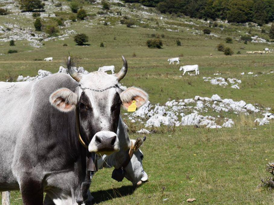 Prato di Campoli - Veroli