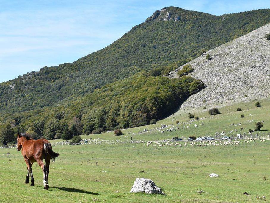 Prato di Campoli - Veroli