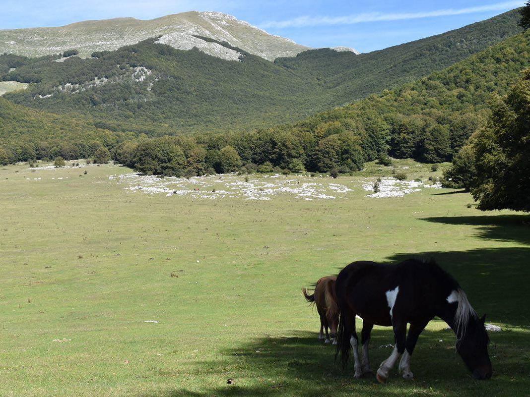 Prato di Campoli - Veroli