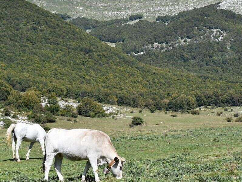 Prato di Campoli - Veroli
