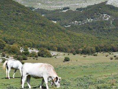 prato-di-campoli-veroli