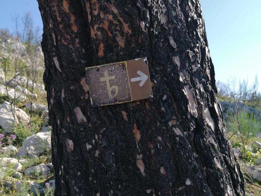 Salita verso Montecassino - Villa Santa Lucia