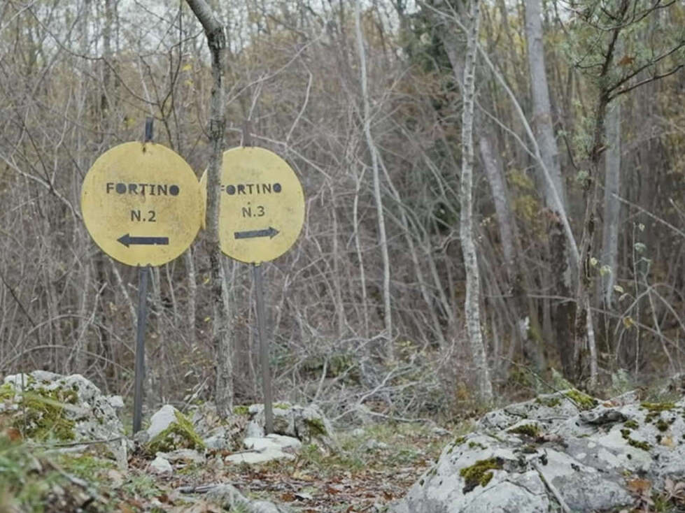 Sant'Elia Fiumerapido