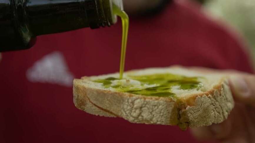 uliveti-san-vittore-del-lazio