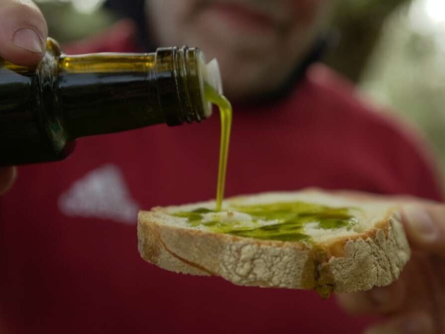 Uliveti - San Vittore del Lazio